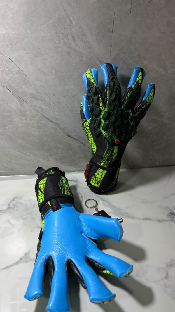 Reptil Aqua