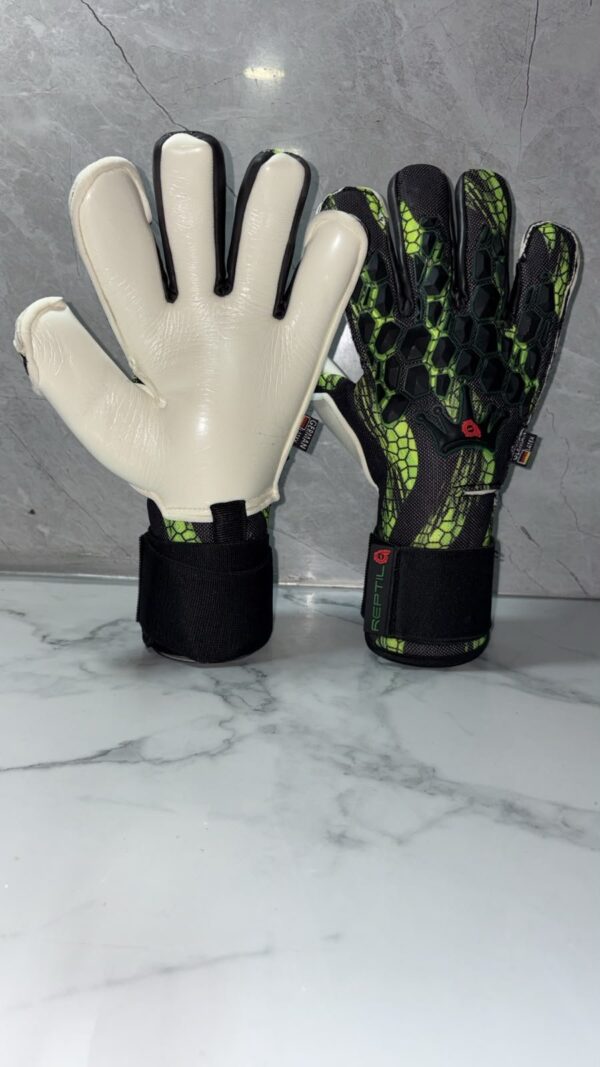 Reptil Kids Negro